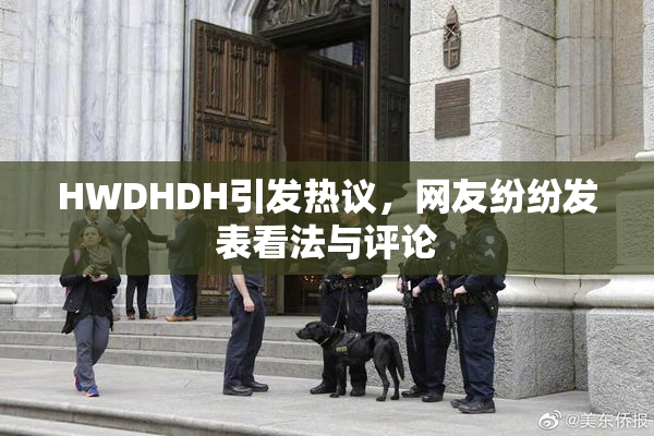 HWDHDH引发热议，网友纷纷发表看法与评论