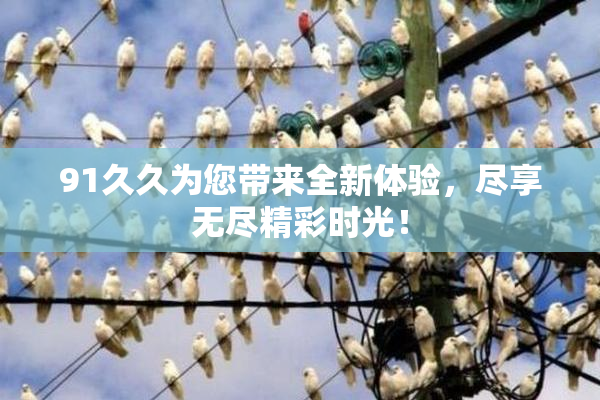 91久久为您带来全新体验，尽享无尽精彩时光！