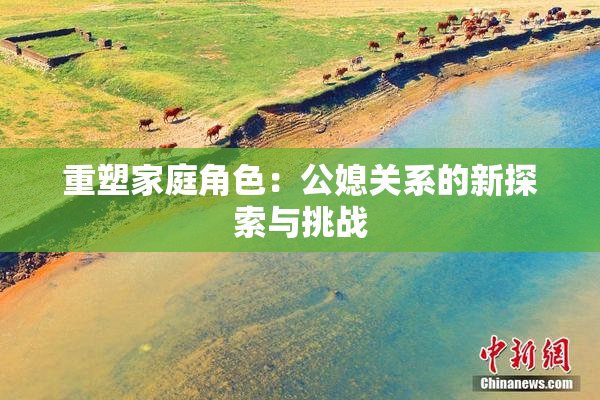 重塑家庭角色：公媳关系的新探索与挑战