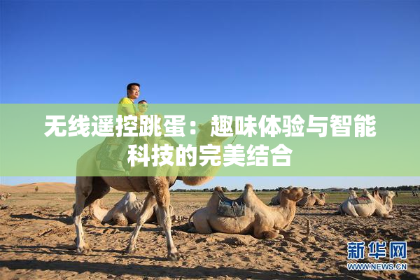 无线遥控跳蛋：趣味体验与智能科技的完美结合