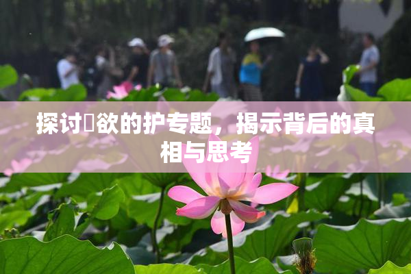 探讨婬欲的护专题，揭示背后的真相与思考