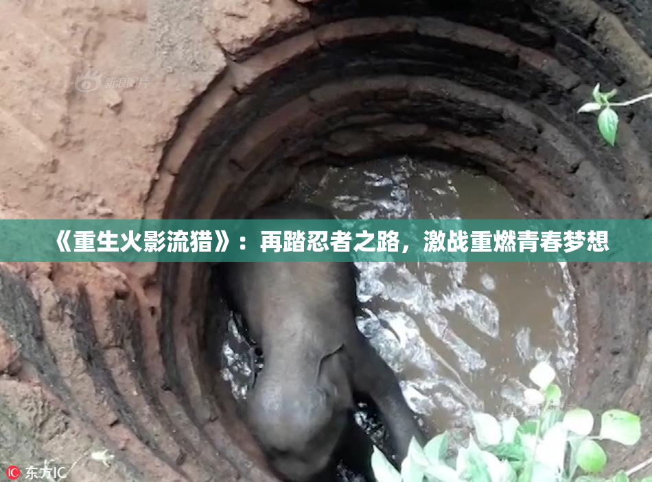 《重生火影流猎》：再踏忍者之路，激战重燃青春梦想