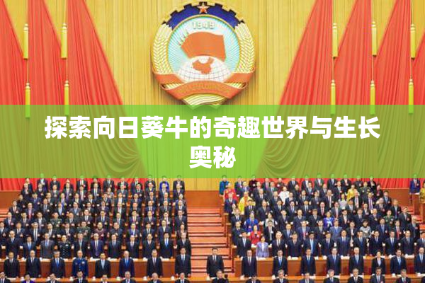 探索向日葵牛的奇趣世界与生长奥秘