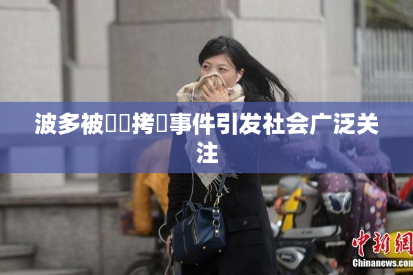 波多被緊縛拷問事件引发社会广泛关注