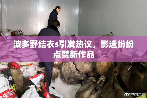 波多野结衣s引发热议，影迷纷纷点赞新作品