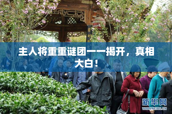 主人将重重谜团一一揭开，真相大白！