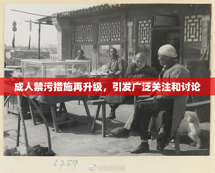成人禁污措施再升级，引发广泛关注和讨论