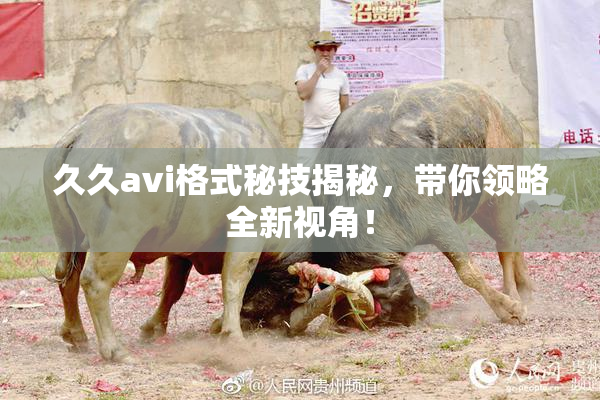久久avi格式秘技揭秘，带你领略全新视角！