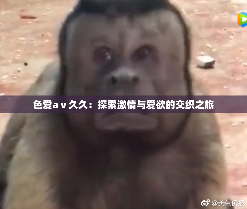 色爱aⅴ久久：探索激情与爱欲的交织之旅