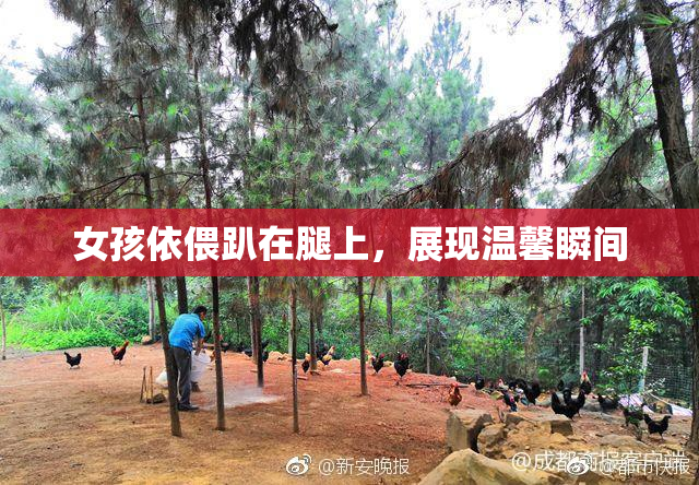 女孩依偎趴在腿上，展现温馨瞬间