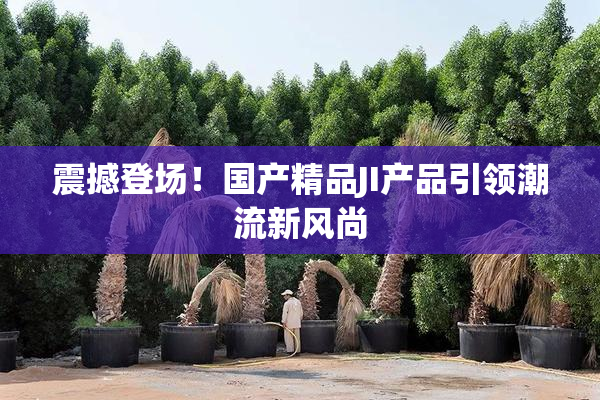 震撼登场！国产精品JI产品引领潮流新风尚