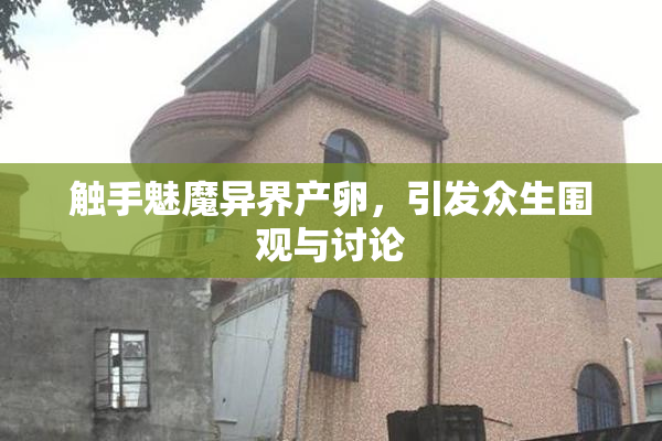 触手魅魔异界产卵，引发众生围观与讨论