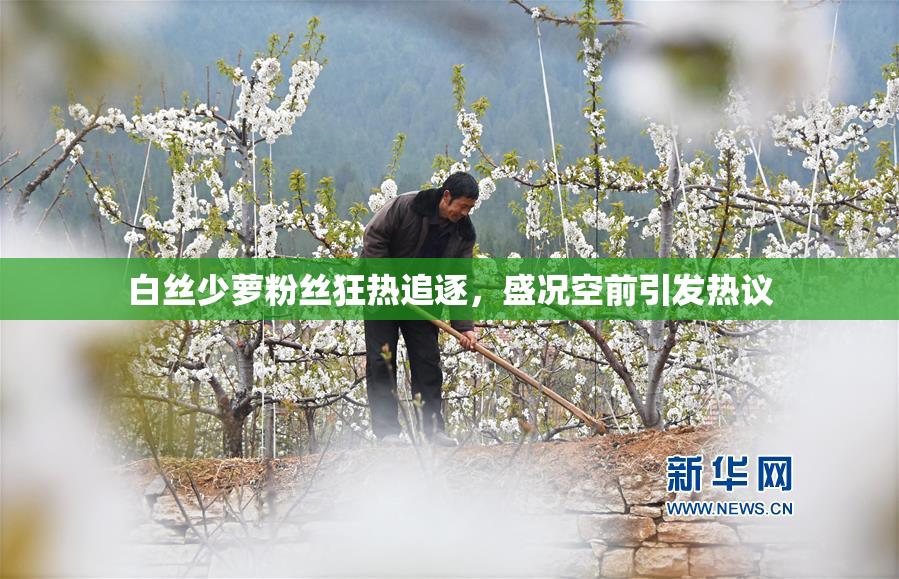 白丝少萝粉丝狂热追逐，盛况空前引发热议