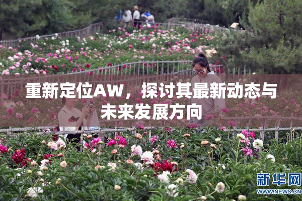重新定位AW，探讨其最新动态与未来发展方向