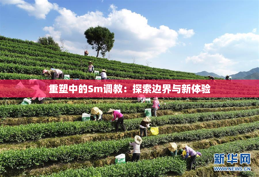 重塑中的Sm调教：探索边界与新体验