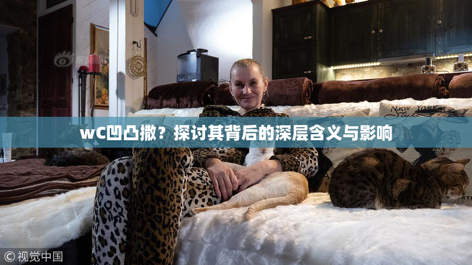 wC凹凸撒？探讨其背后的深层含义与影响