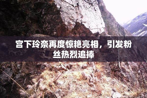宫下玲奈再度惊艳亮相，引发粉丝热烈追捧