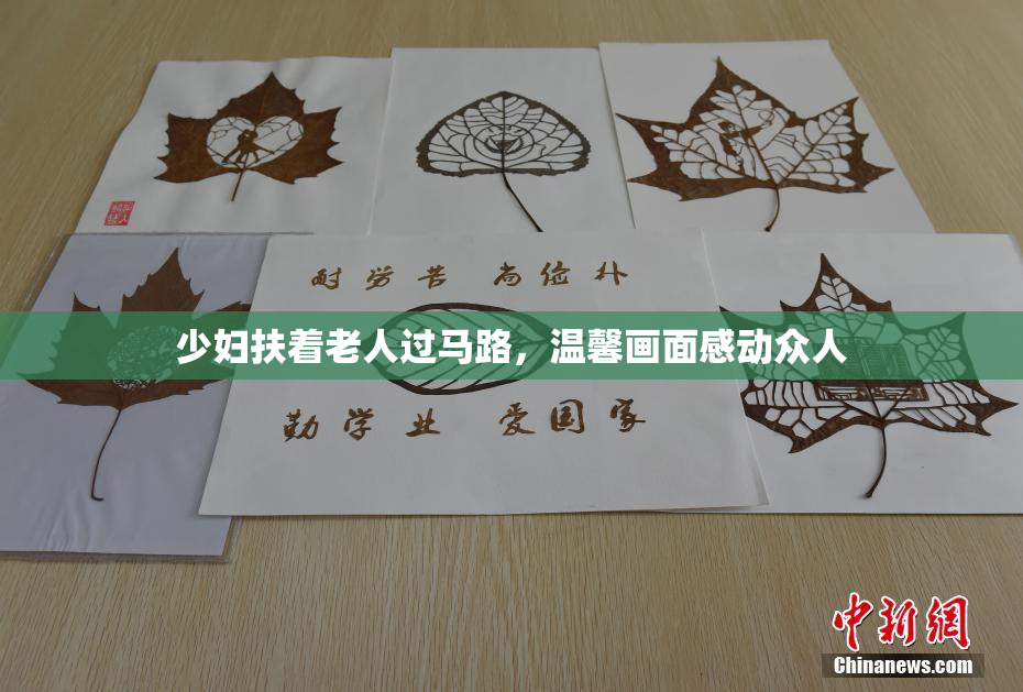 少妇扶着老人过马路，温馨画面感动众人