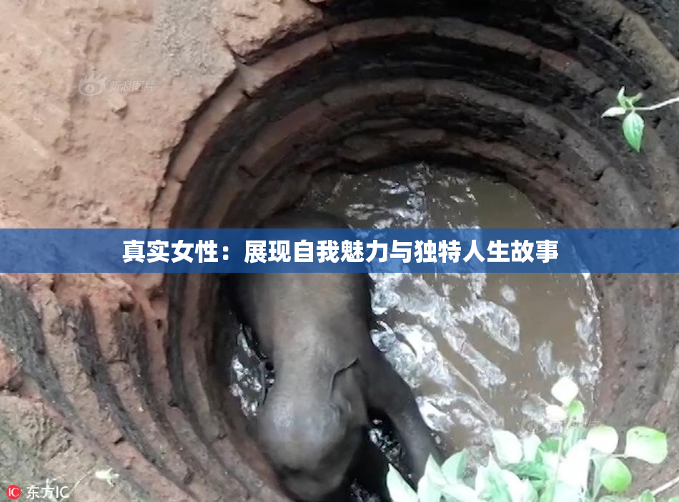真实女性：展现自我魅力与独特人生故事