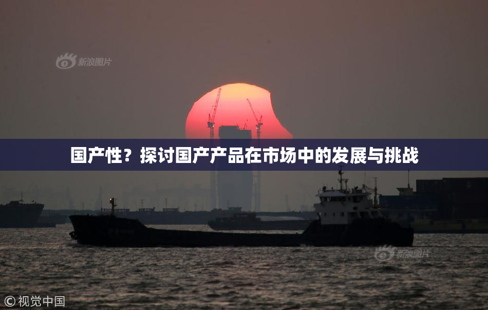 国产性？探讨国产产品在市场中的发展与挑战