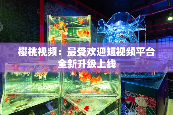 樱桃视频：最受欢迎短视频平台全新升级上线