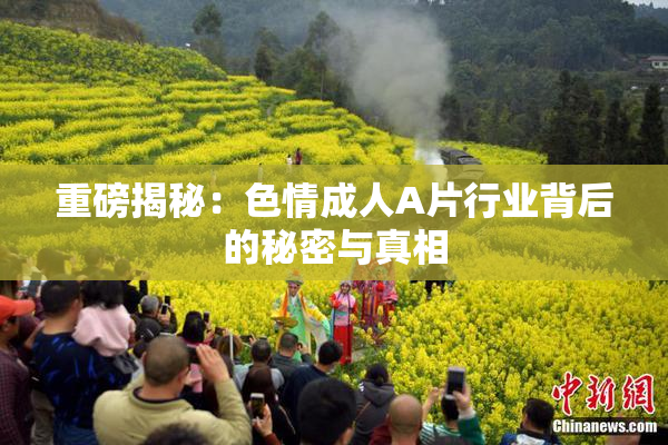 重磅揭秘：色情成人A片行业背后的秘密与真相