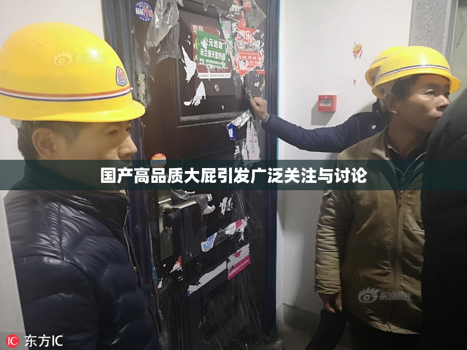 国产高品质大屁引发广泛关注与讨论