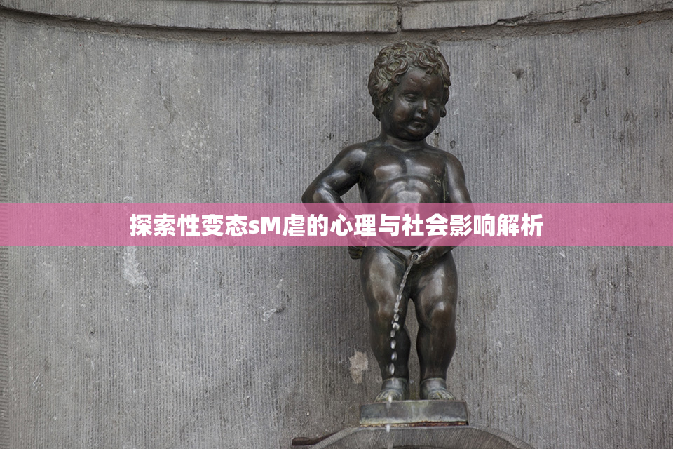 探索性变态sM虐的心理与社会影响解析