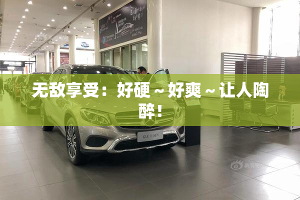 无敌享受：好硬～好爽～让人陶醉！