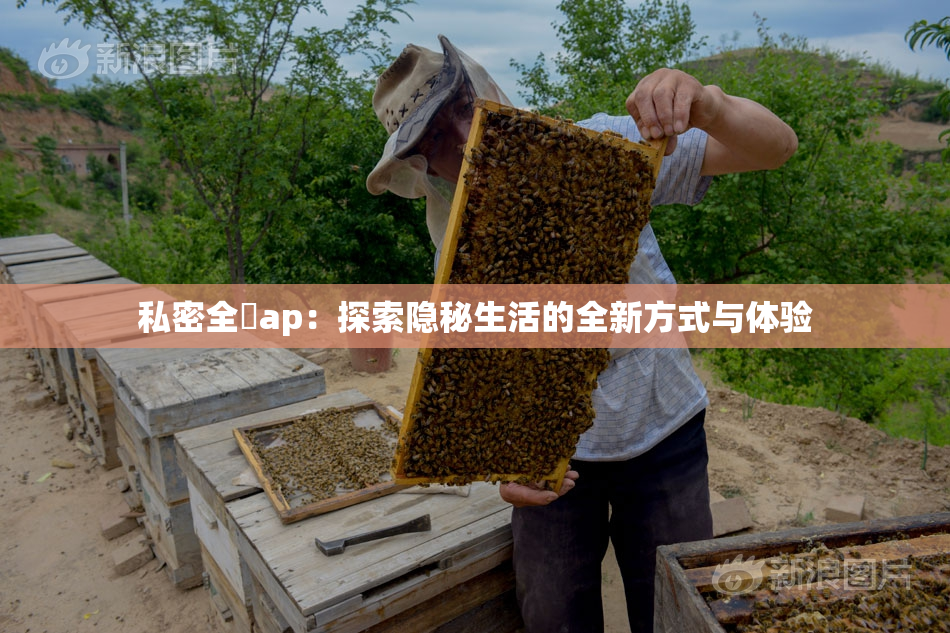 私密全婐ap：探索隐秘生活的全新方式与体验