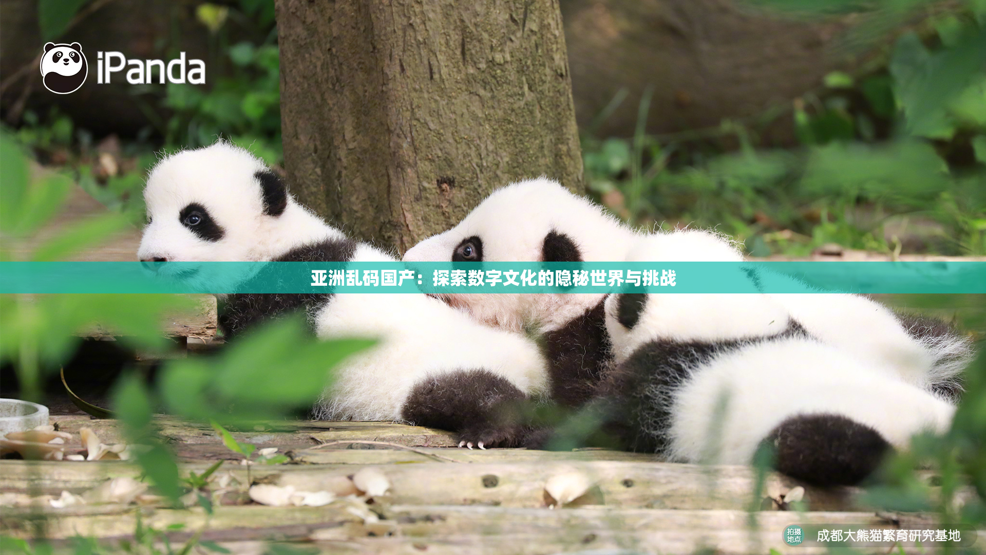 亚洲乱码国产：探索数字文化的隐秘世界与挑战