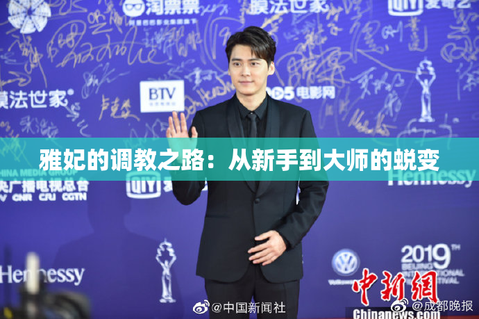 雅妃的调教之路：从新手到大师的蜕变