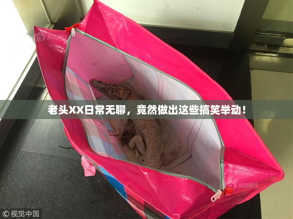 老头XX日常无聊，竟然做出这些搞笑举动！
