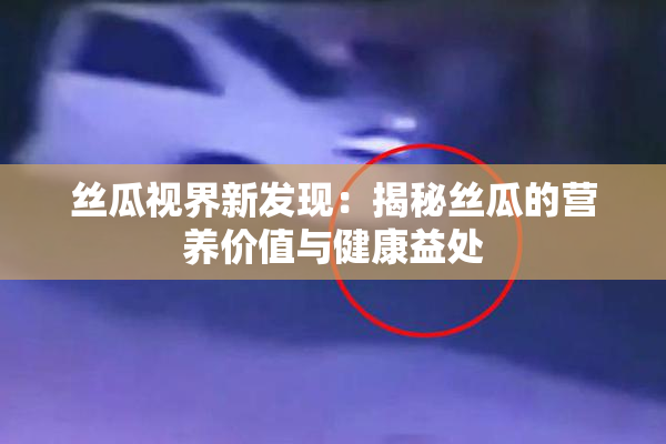 丝瓜视界新发现：揭秘丝瓜的营养价值与健康益处