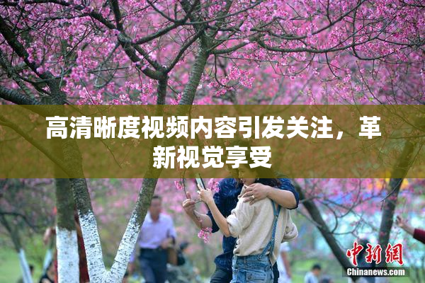 高清晰度视频内容引发关注，革新视觉享受
