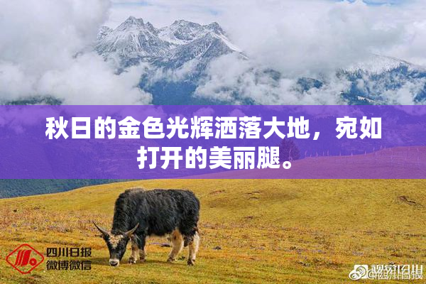秋日的金色光辉洒落大地，宛如打开的美丽腿。