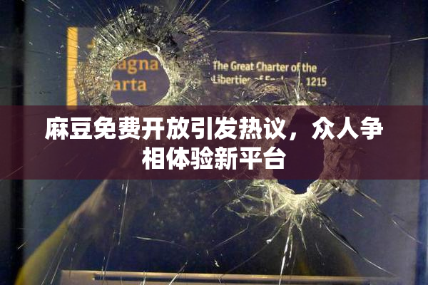 麻豆免费开放引发热议，众人争相体验新平台