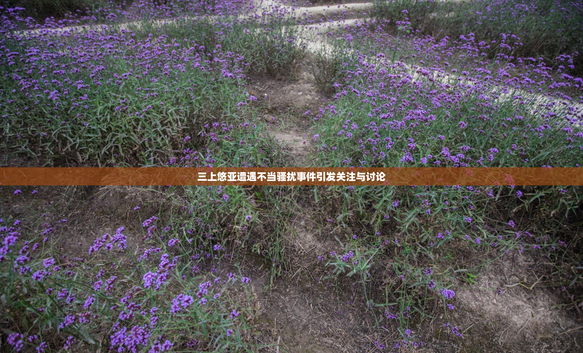 三上悠亚遭遇不当骚扰事件引发关注与讨论