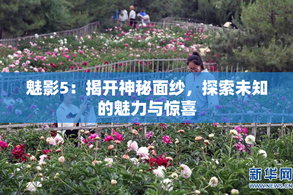 魅影5：揭开神秘面纱，探索未知的魅力与惊喜
