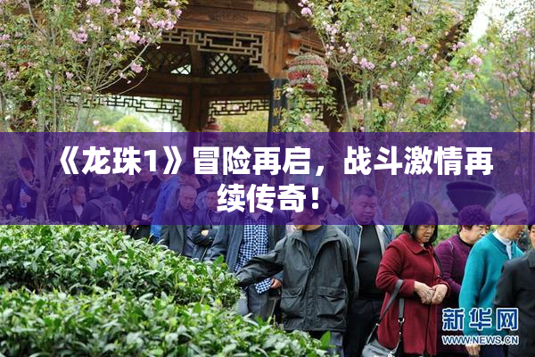《龙珠1》冒险再启，战斗激情再续传奇！