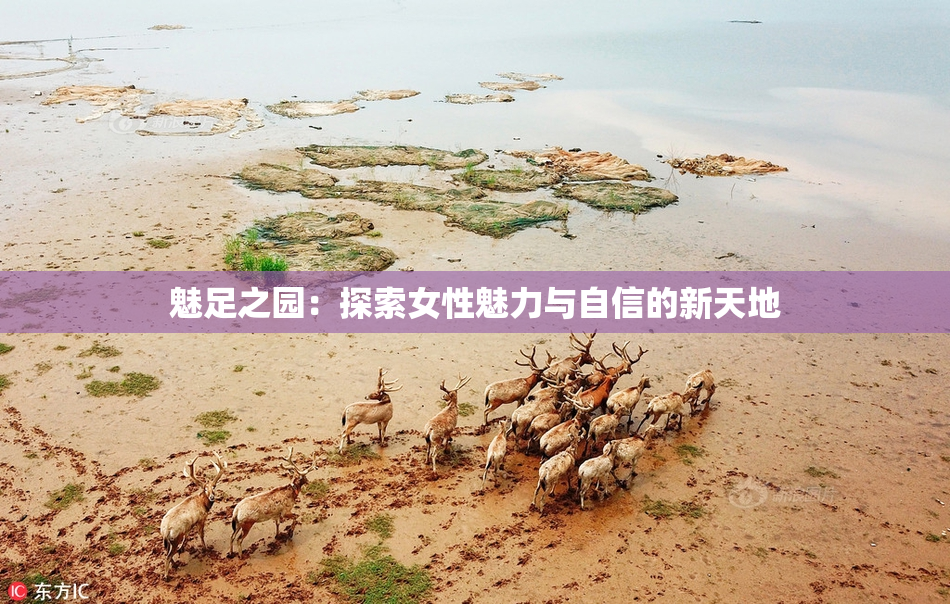 魅足之园：探索女性魅力与自信的新天地
