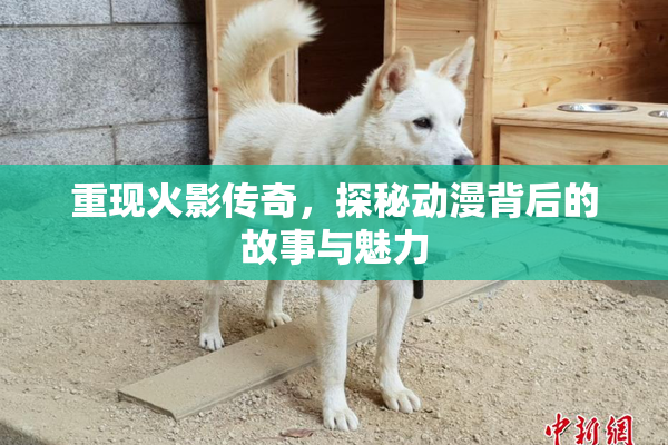 重现火影传奇，探秘动漫背后的故事与魅力