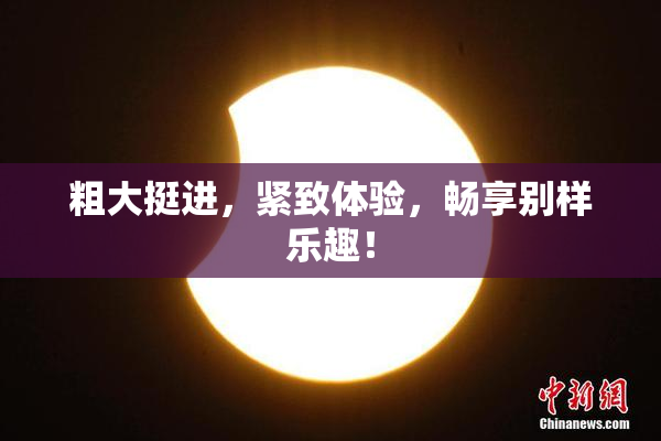 粗大挺进，紧致体验，畅享别样乐趣！