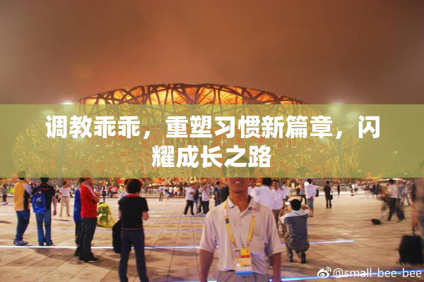 调教乖乖，重塑习惯新篇章，闪耀成长之路