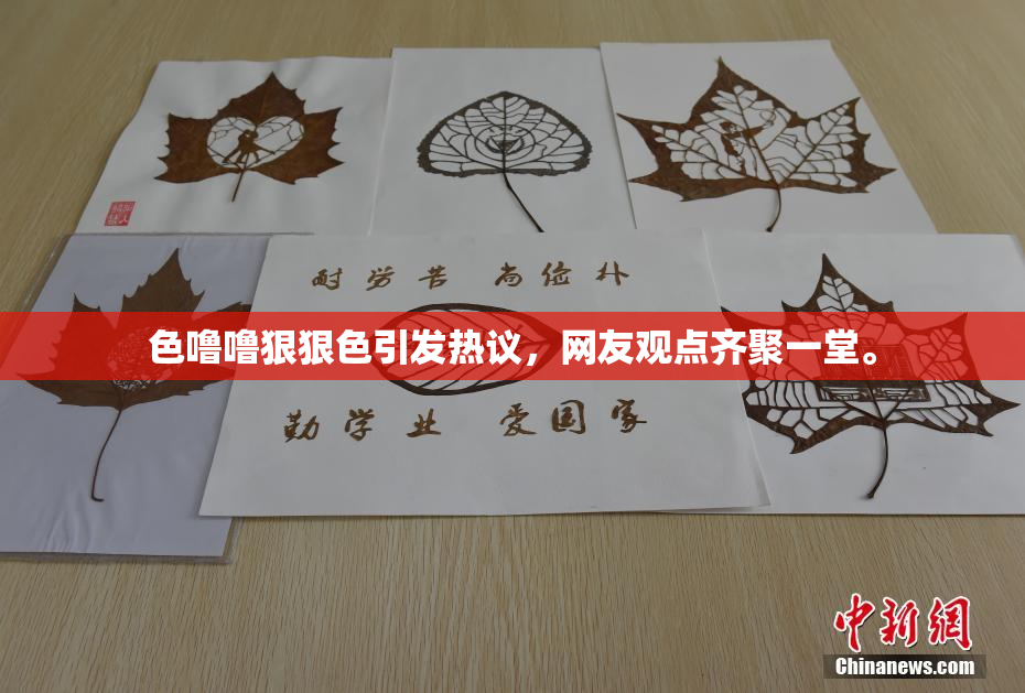 色噜噜狠狠色引发热议，网友观点齐聚一堂。