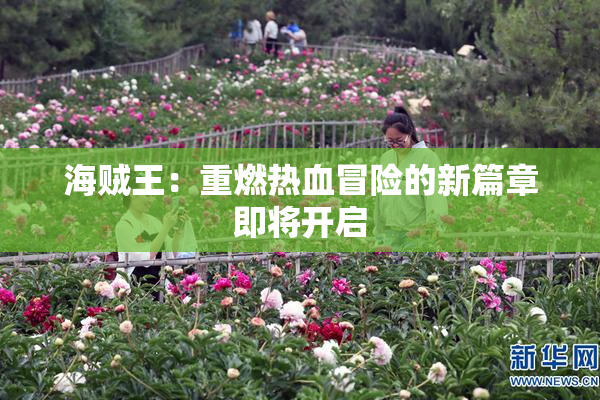 海贼王：重燃热血冒险的新篇章即将开启