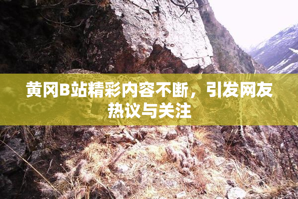 黄冈B站精彩内容不断，引发网友热议与关注