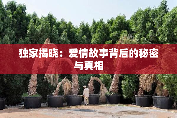 独家揭晓：爱情故事背后的秘密与真相