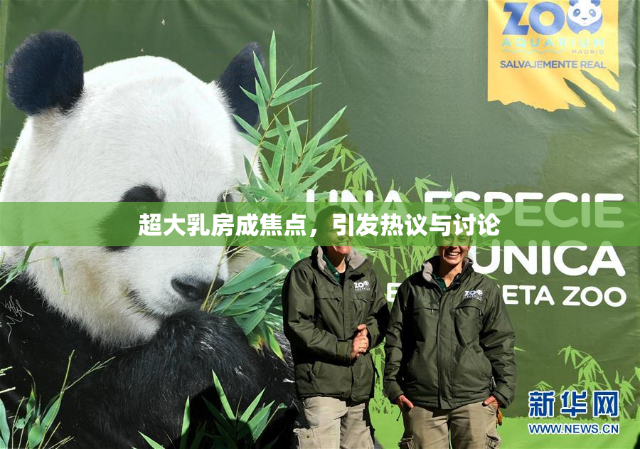 超大乳房成焦点，引发热议与讨论