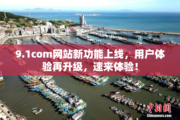 9.1com网站新功能上线，用户体验再升级，速来体验！